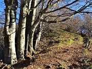 45 In decisa salita con faggi secolari per il Monte Zucco